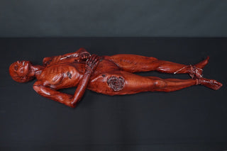 Skinned Luttra Body