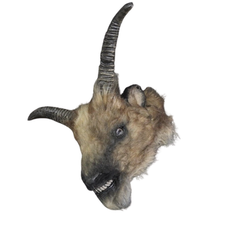 Furry Severed Goat Head