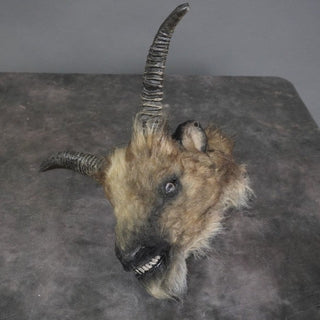 Furry Severed Goat Head