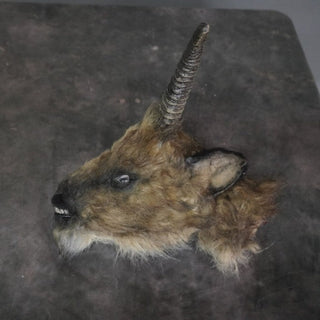 Furry Severed Goat Head