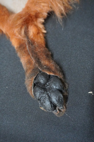 Faux Fox Pelt
