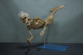 3 Ft. Feejee Mermaid