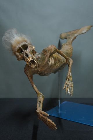 3 Ft. Feejee Mermaid