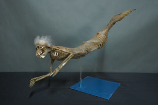 3 Ft. Feejee Mermaid