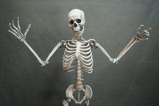 Poseable Crime Scene Skeleton with Stand