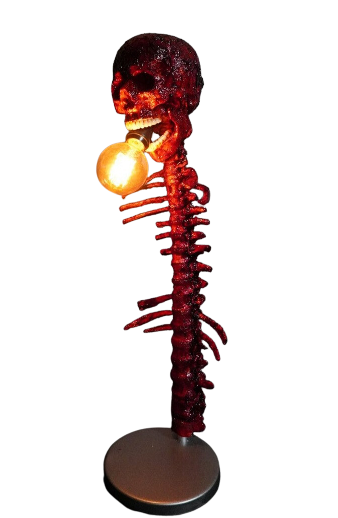 Meat Skull & Spine Lamp – Dapper Cadaver Props Meat Skull & Spine Lamp – Dapper Cadaver Props