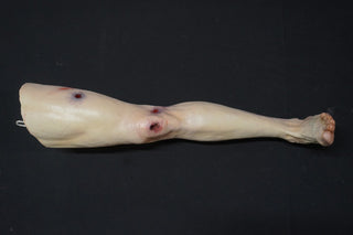 Forensic Pathology Autopsy Dura Jack Body with Swappable Limbs