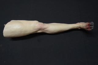 Forensic Pathology Autopsy Dura Jack Body with Swappable Limbs