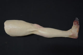 Forensic Pathology Autopsy Dura Jack Body with Swappable Limbs