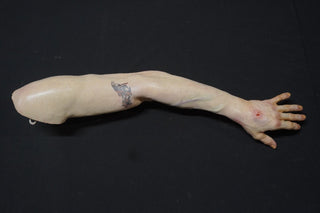 Forensic Pathology Autopsy Dura Jack Body with Swappable Limbs