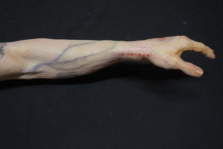 Forensic Pathology Autopsy Dura Jack Body with Swappable Limbs