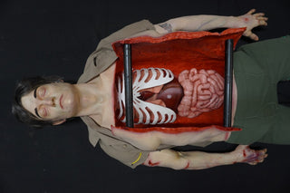 Forensic Pathology Autopsy Dura Jack Body with Swappable Limbs
