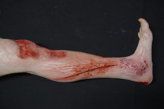 Forensic Pathology Autopsy Dura Jack Body with Swappable Limbs