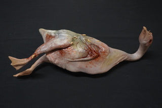 Putrid Plucked Goose
