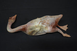 Putrid Plucked Goose