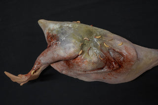 Putrid Plucked Goose