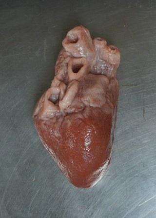 Silicone Large Heart Prop