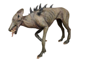 Chupacabra