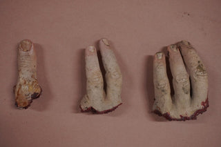 3 Piece Dismembered Hand