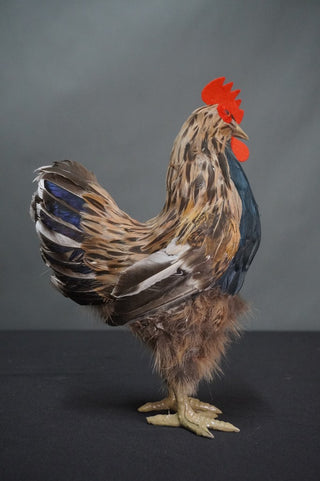 Replica Chicken