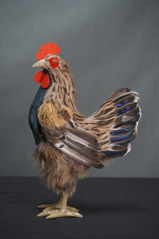 Replica Chicken