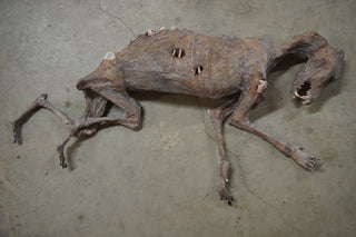 Mummified Dog Prop