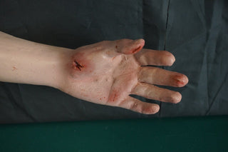 Dura Child Dummy with Car Crash Trauma