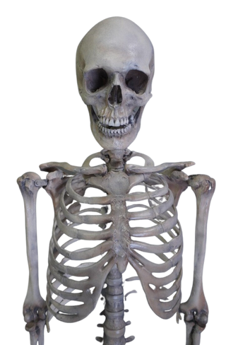 Crime Scene Skeleton
