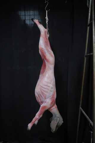 Skinned Goat