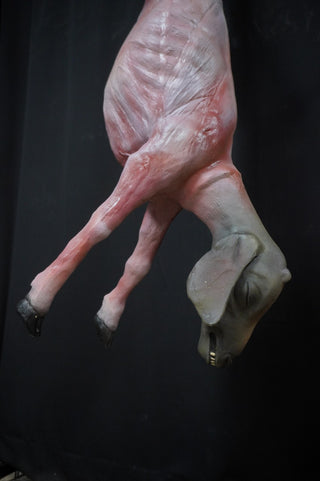 Skinned Goat