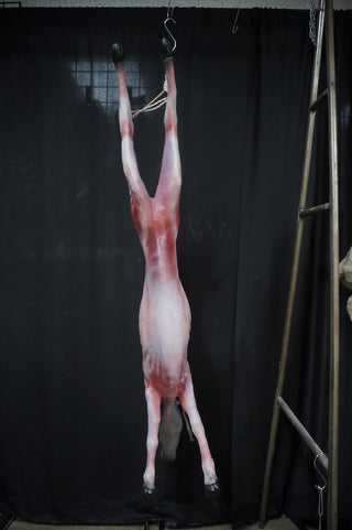 Skinned Goat