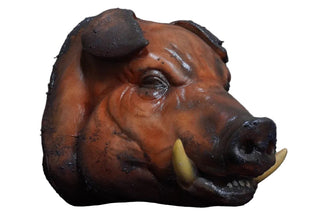 Roast Boar Head