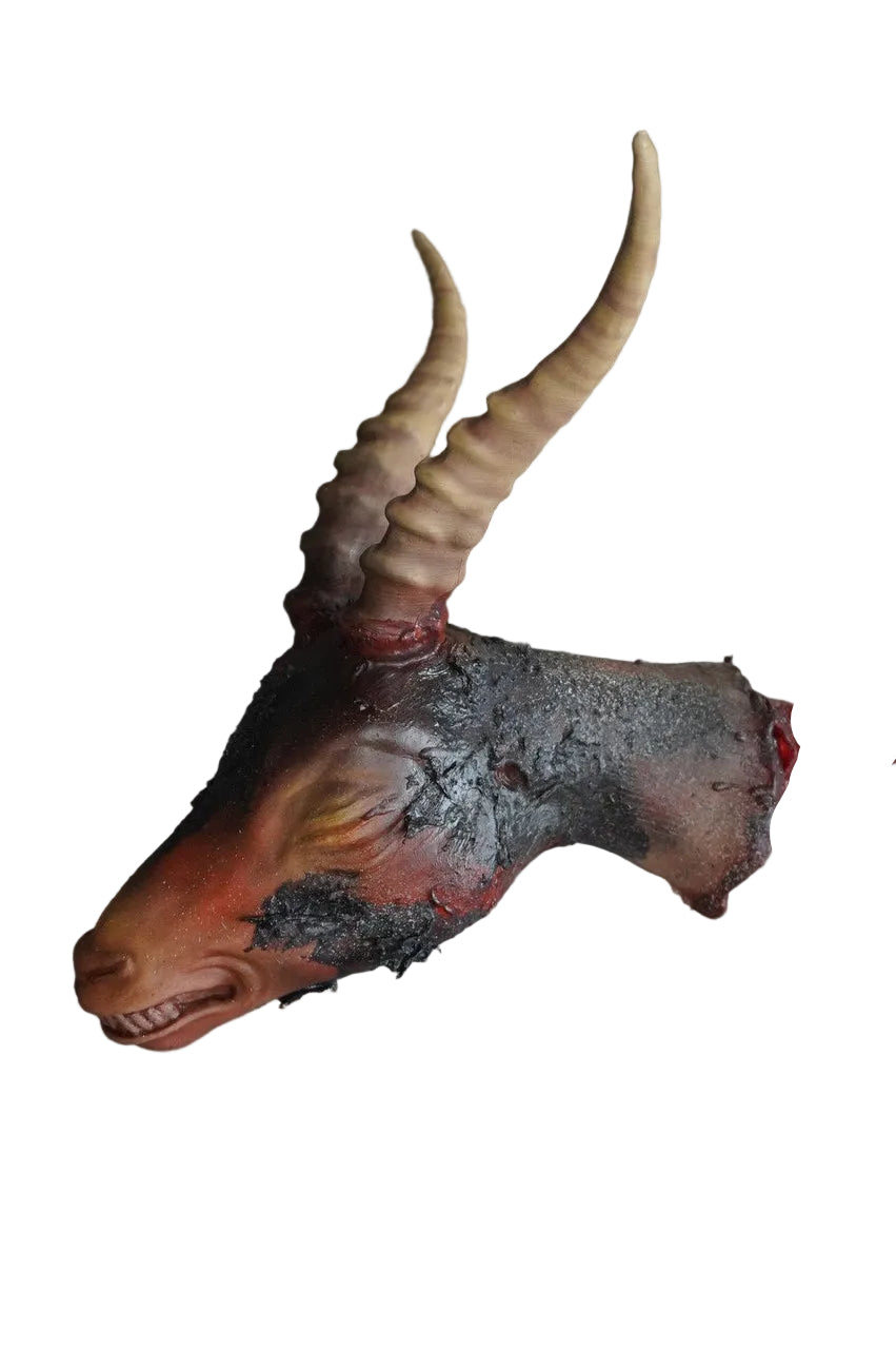 Putrid Skinned Rabbit Prop – Dapper Cadaver Props