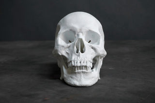 Kenzo Skull