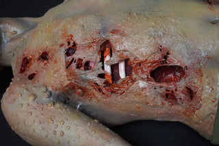 Putrefaction Blister Alan Dummy