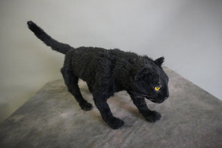 Open Eye Black Cat Prop