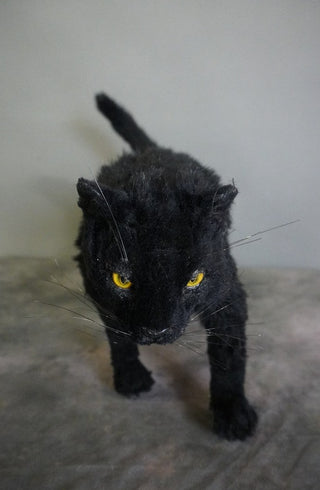 Open Eye Black Cat Prop
