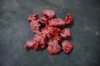 Silicone Brain Chunks Prop
