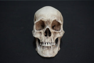 Henning Skull