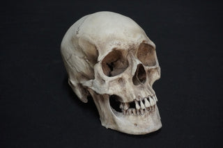 Henning Skull