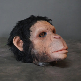 Chimp Head