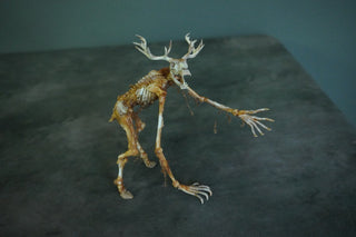Mummified Wendigo