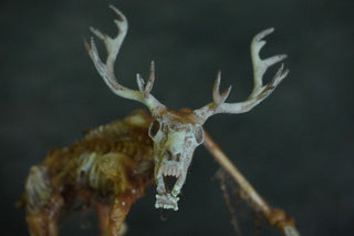Mummified Wendigo