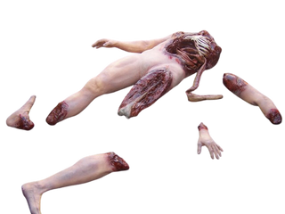 Deluxe Dismembered Body