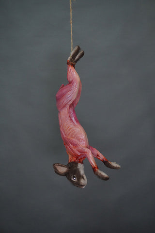 Field Skinned Rabbit