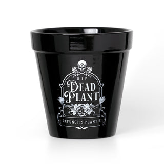 Dead Plant Plant Pot
