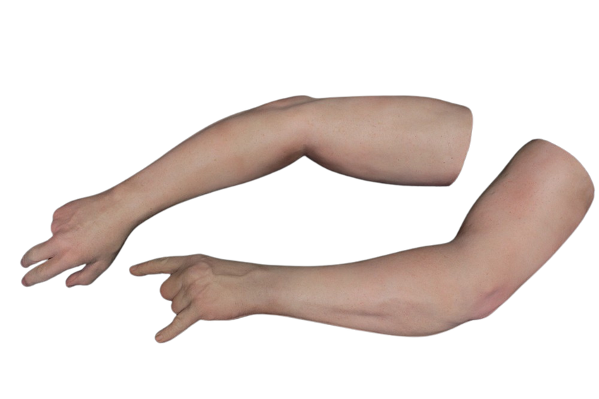 Nate Male Arms Prop – Dapper Cadaver Props