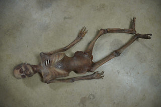 Nell Mummy Prop