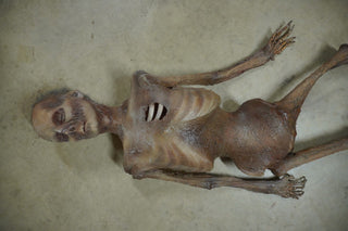 Nell Mummy Prop