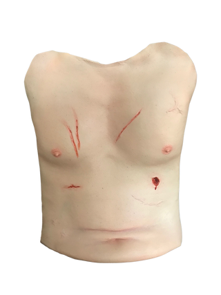 Trauma Torso Skin
